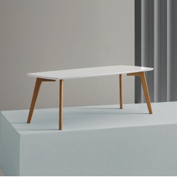 MESA DE CENTRO MARCO DE ESTILO NORDICO