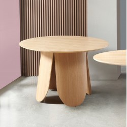 MESA DE DISEÑO FATIMA DE CHAPA ROBLE