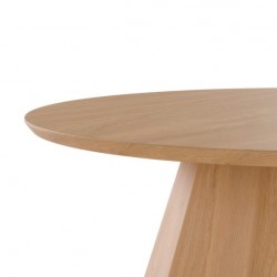 MESA DE CENTRO HOMERO DE CHAPA ROBLE