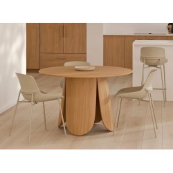 MESA DE DISEÑO FATIMA DE CHAPA ROBLE