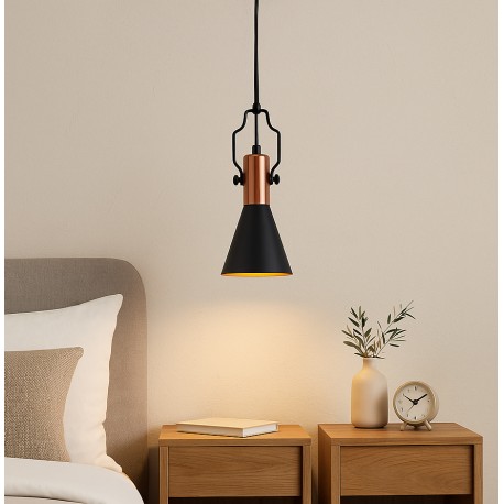 LAMPARA DE TECHO ASEVAR