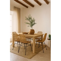 SILLA LIONA DE RATAN TRENZADO