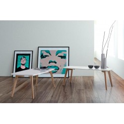 MESA DE CENTRO MARCO DE ESTILO NORDICO