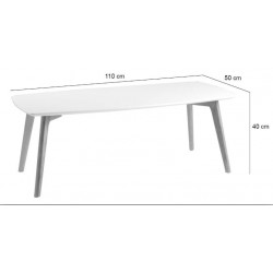 MESA DE CENTRO MARCO DE ESTILO NORDICO