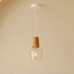 LAMPARA DE TECHO MINIA