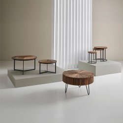 MESA DE CENTRO TARAK DE ESTILO ETNICO